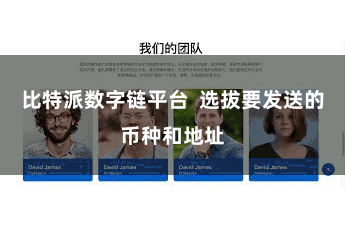 比特派数字链平台 选拔要发送的币种和地址