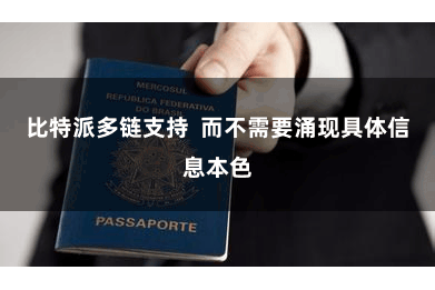 比特派多链支持 而不需要涌现具体信息本色