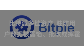 比特派多链资产 驻防用户数据被露馅、批改或挥霍