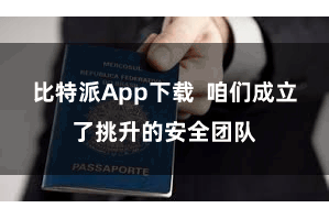 比特派App下载  咱们成立了挑升的安全团队