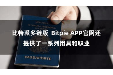 比特派多链版  Bitpie APP官网还提供了一系列用具和职业