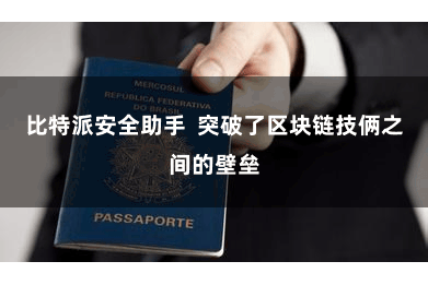 比特派安全助手  突破了区块链技俩之间的壁垒