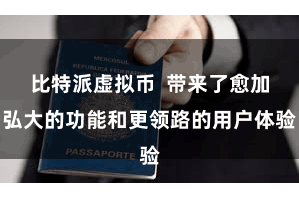 比特派虚拟币  带来了愈加弘大的功能和更领路的用户体验