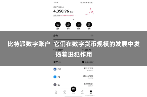 比特派数字账户  它们在数字货币规模的发展中发扬着进犯作用