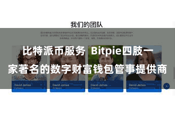 比特派币服务  Bitpie四肢一家著名的数字财富钱包管事提供商