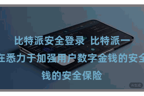 比特派安全登录  比特派一直齐在悉力于加强用户数字金钱的安全保险
