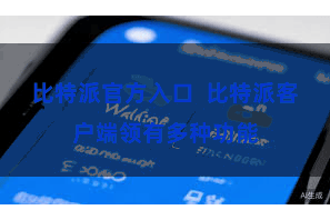 比特派官方入口  比特派客户端领有多种功能