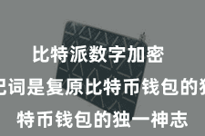 比特派数字加密  这组助记词是复原比特币钱包的独一神志